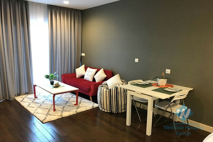 Beautiful studio for rent in Lancaster building, Hanoi